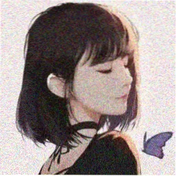 读者苏杳的头像